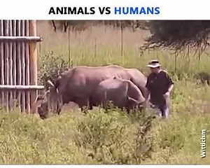 Animal vs human | CLICK Like SHARE | Facebook