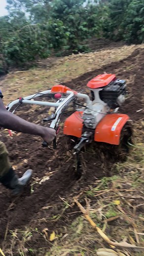 STIHL MH710 Tiller - Unleash Gardening Power!