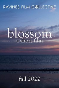 Stream Blossom (2022): Find it on Netflix, Prime Video, Hulu & more