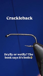 Crackleback….dry or wet fly?! The books say both! - @ahrexhooks FW562 size 14 @semperfli_flytying black 8/0 Peacock Herl Holographic Chartreuse flashabou or tinsel @whitingfarms barred medium ginger saddle - - - #flytyingvideo #troutflies #bcflyguys | BCFlyguys - Fly Fishing Kamloops
