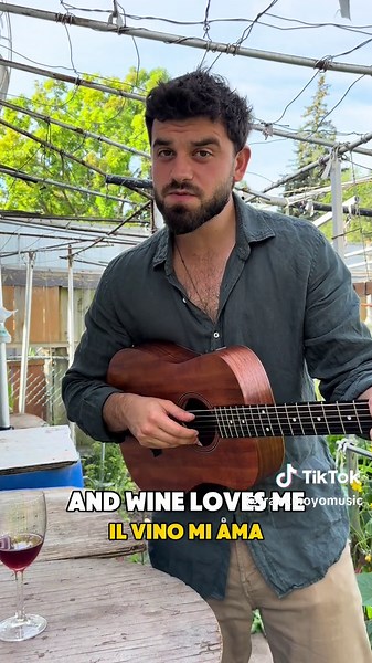 The Italian Wine Song 🍷🎶❤️