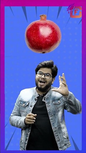 Varnamala Alphabet |हिंदी वर्णमाला |Learn Hindi Words| Hindi Alphabet for Kids