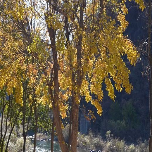 6.2K views · 161 reactions |  Luxury Camping in an Automated Pop-Up Tent Camper Van | Rirang OnAir | Facebook