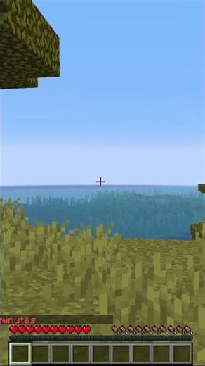 Minecraft, But I Use a Pirate Wheel as a Mouse