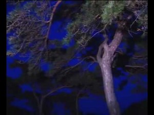 DPRK Songs 2-07 내 조국의 밝은 달아 My Fatherland's Shining Moon