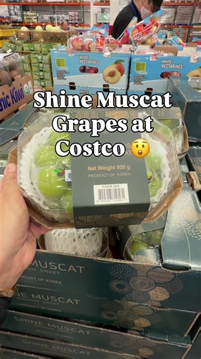 There’s new Korean Shine muscat grapes at Costco and they are something I am always looking for when I am at the produce section!! XL Super sweet, crunchy , and delicious. I leave the in the fridge love them cold. Have you tried these yet? $9.99 at Costco #costco #costcofinds #shinemuscat #grapes #korean