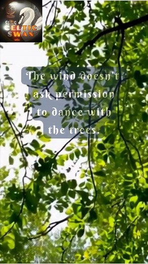 The wind simply dances with the trees, with the light, with freedom. And maybe your dreams are just like that, too. 🌙✨ If this speaks to your soul, 🌿 leave a “YES“ below or tag someone who needs this reminder today. #CelticSwan #FollowYourPath #WhispersOfTheWind #Inspiration #CelticSpirit #DreamWithoutFear | Celtic Swan