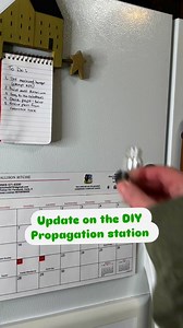 Tried out these DIY magnet fridge planters using Dollar Tree jars and adhesive magnet. It is super simple and surprisingly cute. I collaborated with my friend Emily on this project—she turned hers into mini flower vases, and they looked so good I had to try it too.I was skeptical at first since this wall gets zero direct sunlight, but over a month later, every single cutting has rooted. They’re not quite ready for potting up, but they still add such a fun touch to the kitchen.Would you try this 