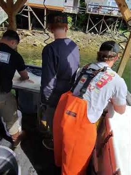 Elfin Cove Halibut Filleting – Expert Dockside Technique | YachtBuying101.com