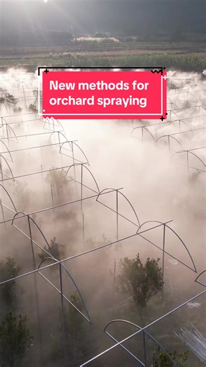 Innovative Orchard Spraying Techniques for Higher Yields