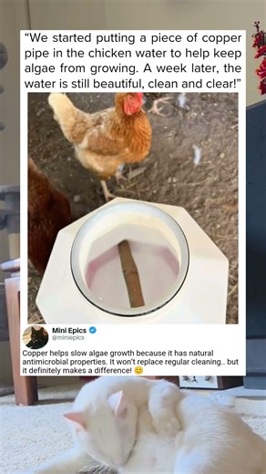 Why Farmers Use Copper Pipe