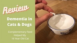 Pet Cognitive Dysfunction (dementia): How Can You Help Your Pet? PRODUCT UPDATE IN DESCRIPTION BOX