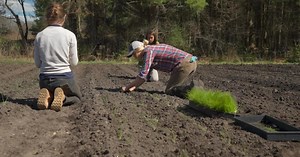 Teaching the next generation of organic farming at Clark Farm in Carlisle