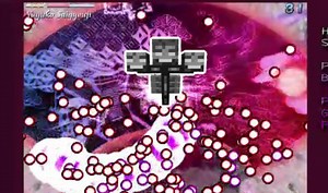 【Skyblock】《Necron Doom》前奏听起来就像视频封面！
