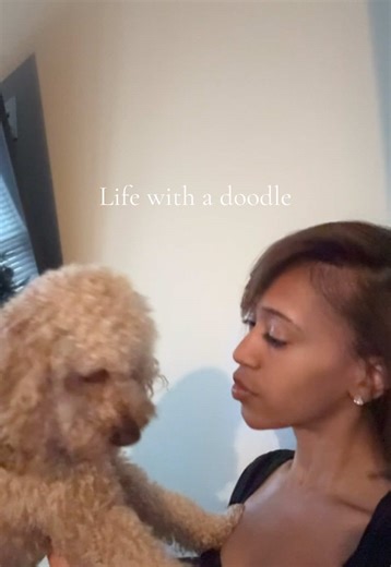 This pup would be in my skin if she could😂 #goldendoodle #doodle #dogsofttiktok #dogmom