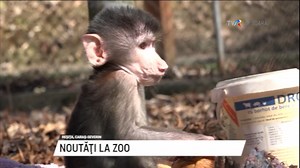 244K views · 1.8K reactions | Grădina Zoologică din Reșița are o nouă...