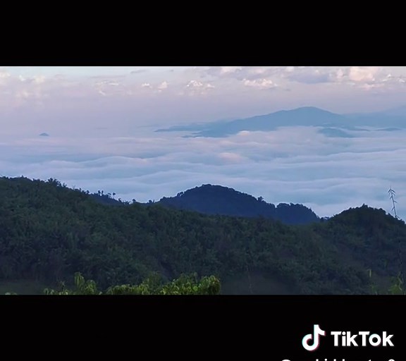 original sound - Orchid Hunter ပါဝင်သည့် Orchid Hunter (@orchid.hunter0) ၏ ဗီဒီယိုများ