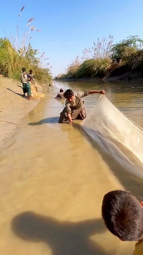Amazing scene of catching fish 🐟🐟 #huntingfish #hunting #fishing #huntingseason #fish #fishhunting | outdoor fishing