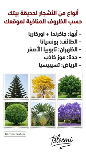 انواع الاشجار