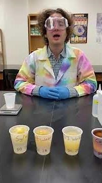 Osmosis Lab Video All Eggs in Test Solutions