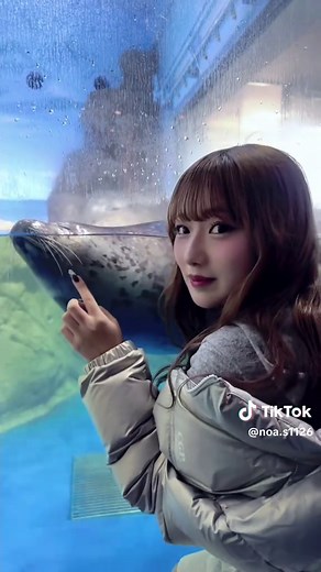 江ノ島水族館の魅力と楽しみ方