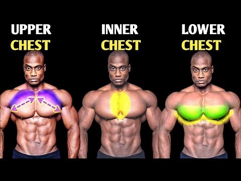 "Best Chest Workout for Mass & Strength | Complete Chest Training Guide"