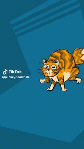 Kitty Cats with Zoomies: Adorable Moments Captured