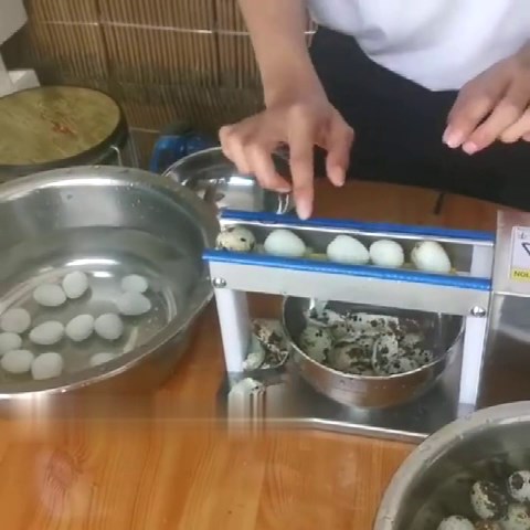 Electric Quail Egg Peeler Machine Quail Egg Peeler Sheller for Boiled Quail Egg