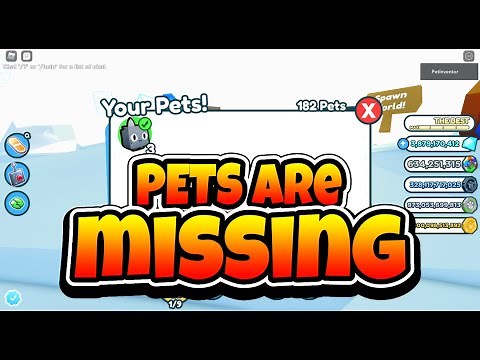 Why your Pets have gone Missing in Pet Simulator X