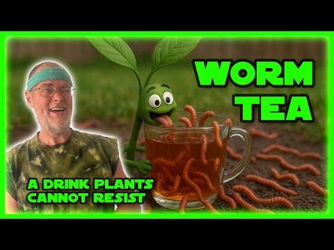 DIY Worm Casting Tea for Explosive Plant Growth