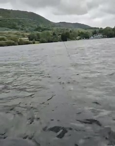 253K views · 1.3K reactions | 6ft Water Temperature 17c. secchi Disk 2.2m Water temp at 17c is below our upper limit for pike fly fishing which is above 18c so now is a good time to try fly piking and we have boats available this week!!. Colin Halliday had fun yesterday with this big fish (weighed at 27lbs). This was yesterday's temperature. so with snow on the hills last night it may be at 16c today. | Lake of Menteith Fisheries | Facebook