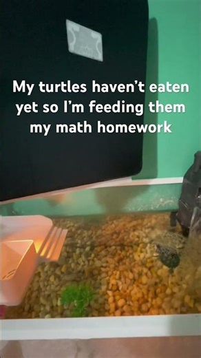 No math homework for me😁