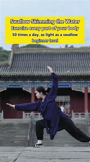 Swallow Skimming the Water • Full-Body Exercise #qigong #taichi #health #exercise #fitness