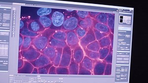 A fascinating discovery in the world of cells - our #ChiefScientist Paul M. Sutter explores in Science Now. | COSI - Center of Science and Industry