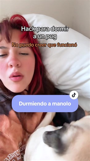 Increíble tutorial para dormir a un pug
