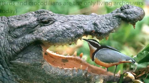 The forgotten age when reptiles became something else entirely