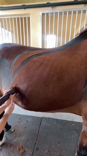 Shocking Text Message Revelation After Class