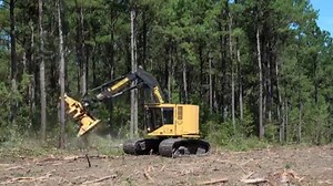 Tigercat 822D feller buncher | Forestry Equipment in Action