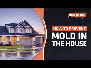 How To Prevent Mold In The House - Mold Busters