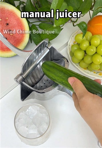 Top Manual Juicer for Freshly Squeezed Juice