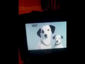 Opening to Madagascar 2005 dvd