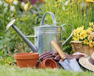 Tip: Use a natural ant-repelling solution made from vinegar and water. Mix equal parts white vinegar and water in a spray bottle, and apply it to ant trails, entry points, and countertops. The strong scent disrupts their pheromone trails, making it difficult for them to navigate. For added effectiveness, wipe down surfaces daily and seal any cracks or gaps around doors and windows to prevent re-entry. This non-toxic method is safe for pets and children while keeping your home ant-free naturally.