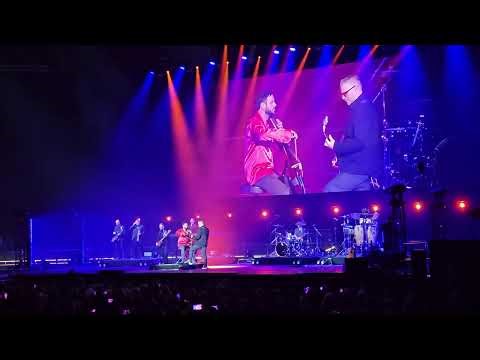 HAUSER - Despacito (The Rebel Is Back! Live in Madrid) 4K