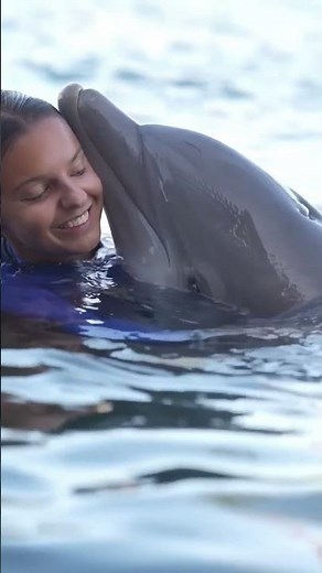The Secret Bond Between Humans & Dolphins! #amazingfacts #viral #shorts