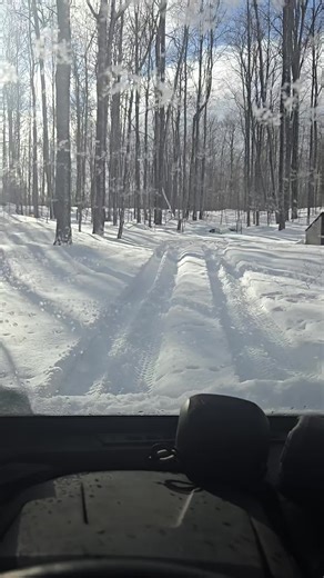 The Awakening Wildlife of Michigan