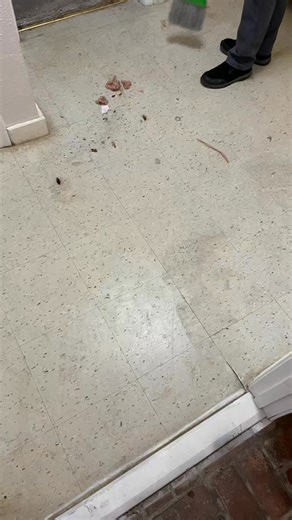 VCT Tile Transformation Two Sheas performed in Jenks, Oklahoma! | Two Sheas Restoration