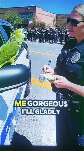 🤣🤣🤣🤣🤣🤣🤣🤣🤣🤣🤣