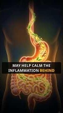 Ginger Root: The Ancient Spice That Wakes Up Your Colon | Jamaica Health Box