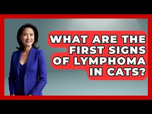 What Are The First Signs Of Lymphoma In Cats? - Oncology Support Network