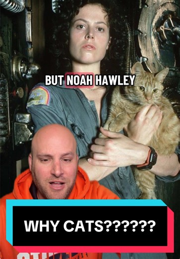 Replying to @user3476847364835 🇪🇺 Why Are there sooo many cats on ships in The Alien films? #Aliens #Alien #AlienEarth #Cats #catsoftiktok